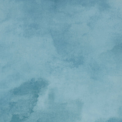 Philadelphia Commercial Cumulus 5043V-04001 Ice Storm (Partial Piece - Sample)