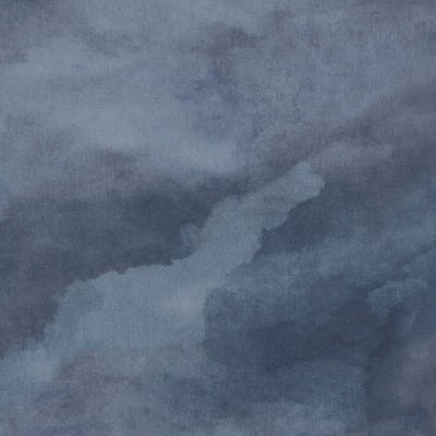 Philadelphia Commercial Cumulus 5043V-00498 Rolling Thunder (Partial Piece - Sample)