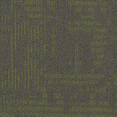 Philadelphia Curious Wonder 54940-40300 Amazement 18" x 36" Carpet Tile (45 SF/Box)