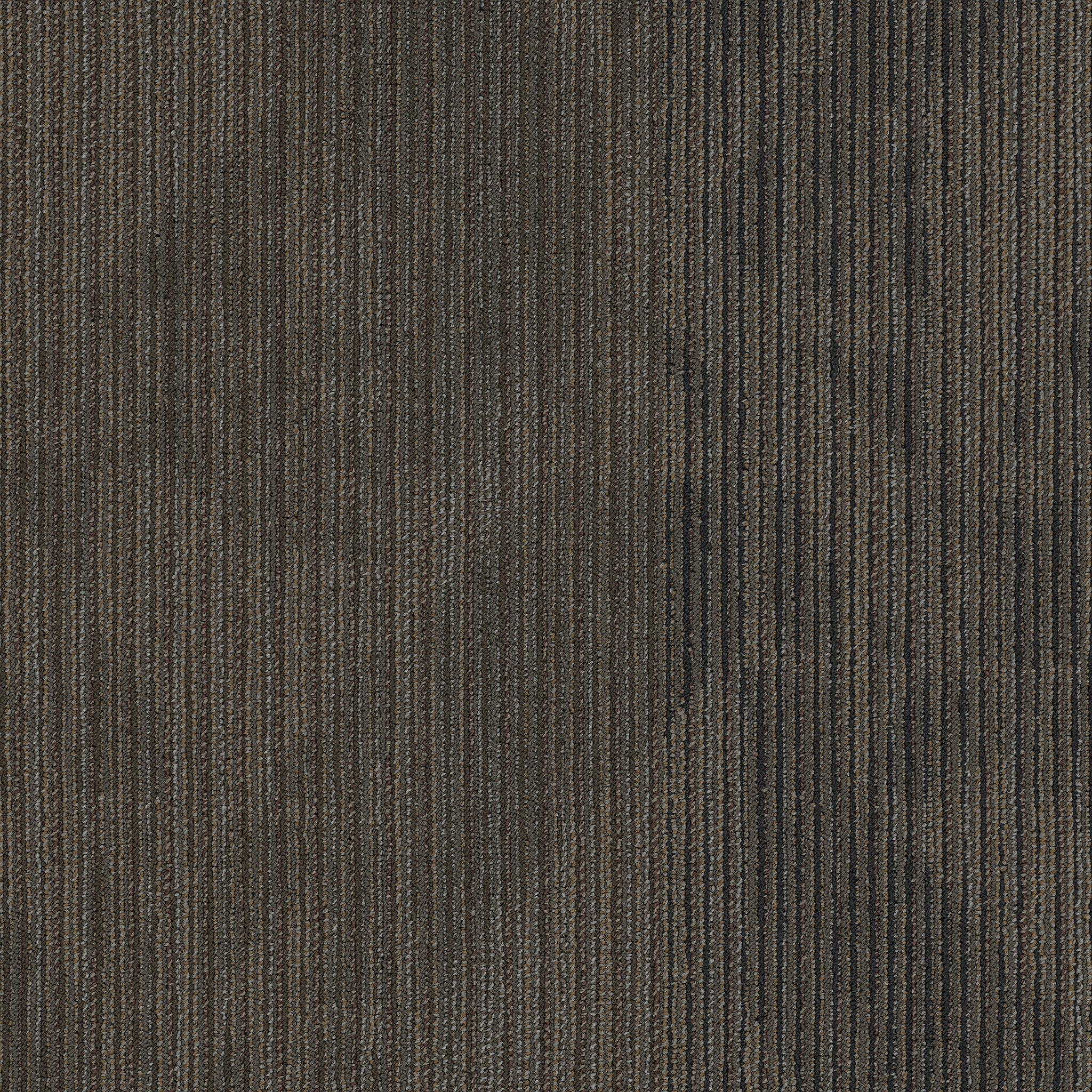 Philadelphia Mainstreet Declare 54904-00710 Coverage 24" x 24" Carpet Tile (80 SF/Box)