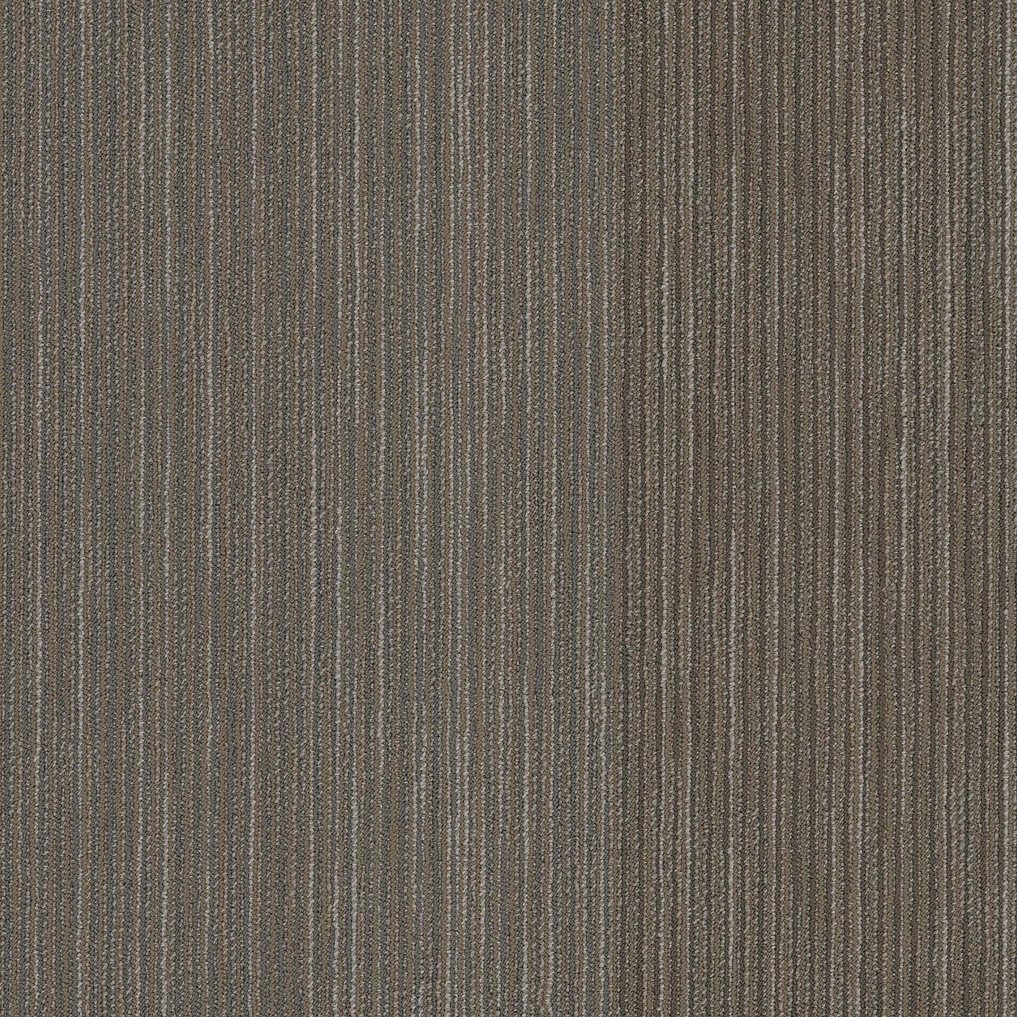 Philadelphia Commercial Document 54906-00210 Newsfeed 24" x 24" Carpet Tile