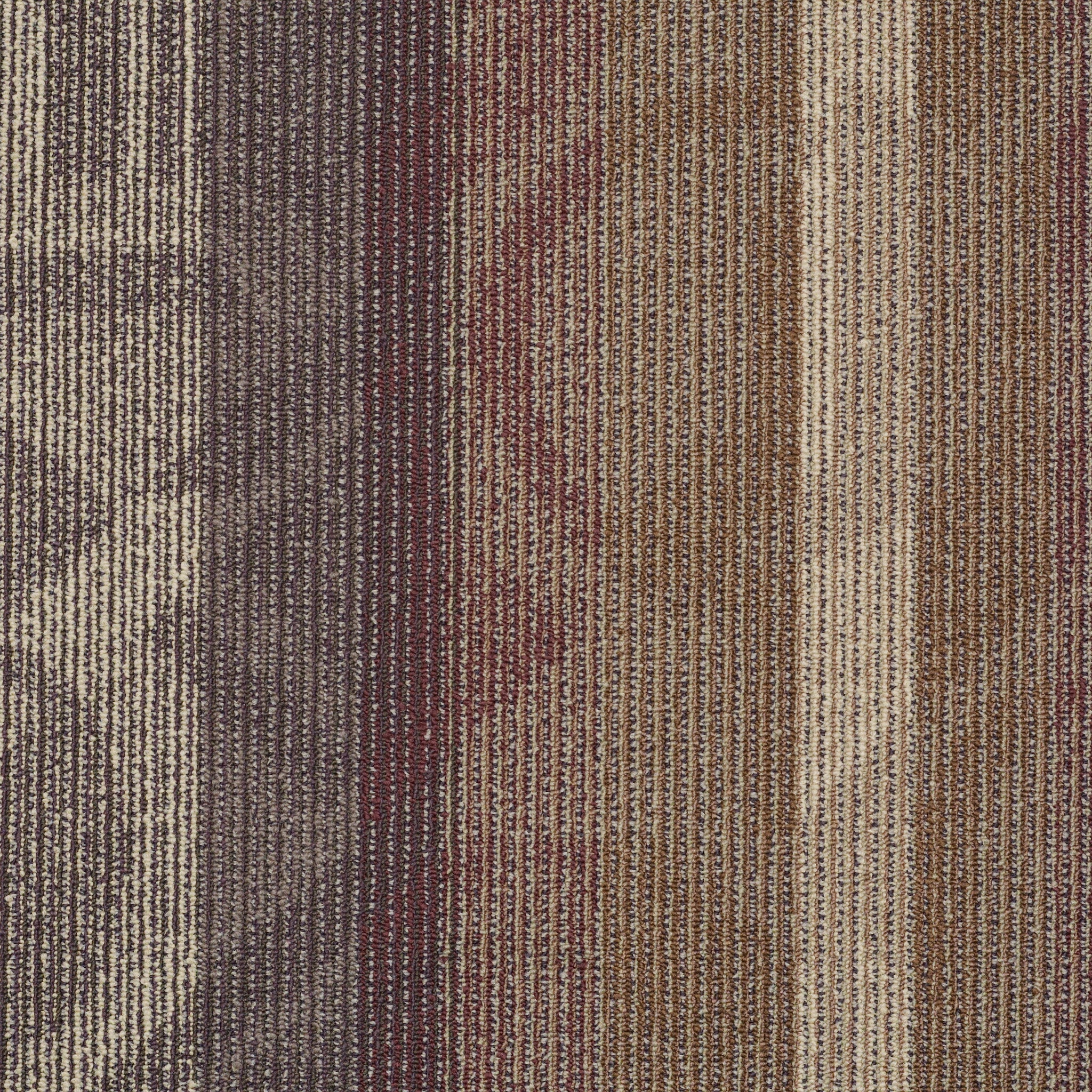 Philadelphia Interference Collection Static 54564-00902 Echo 24