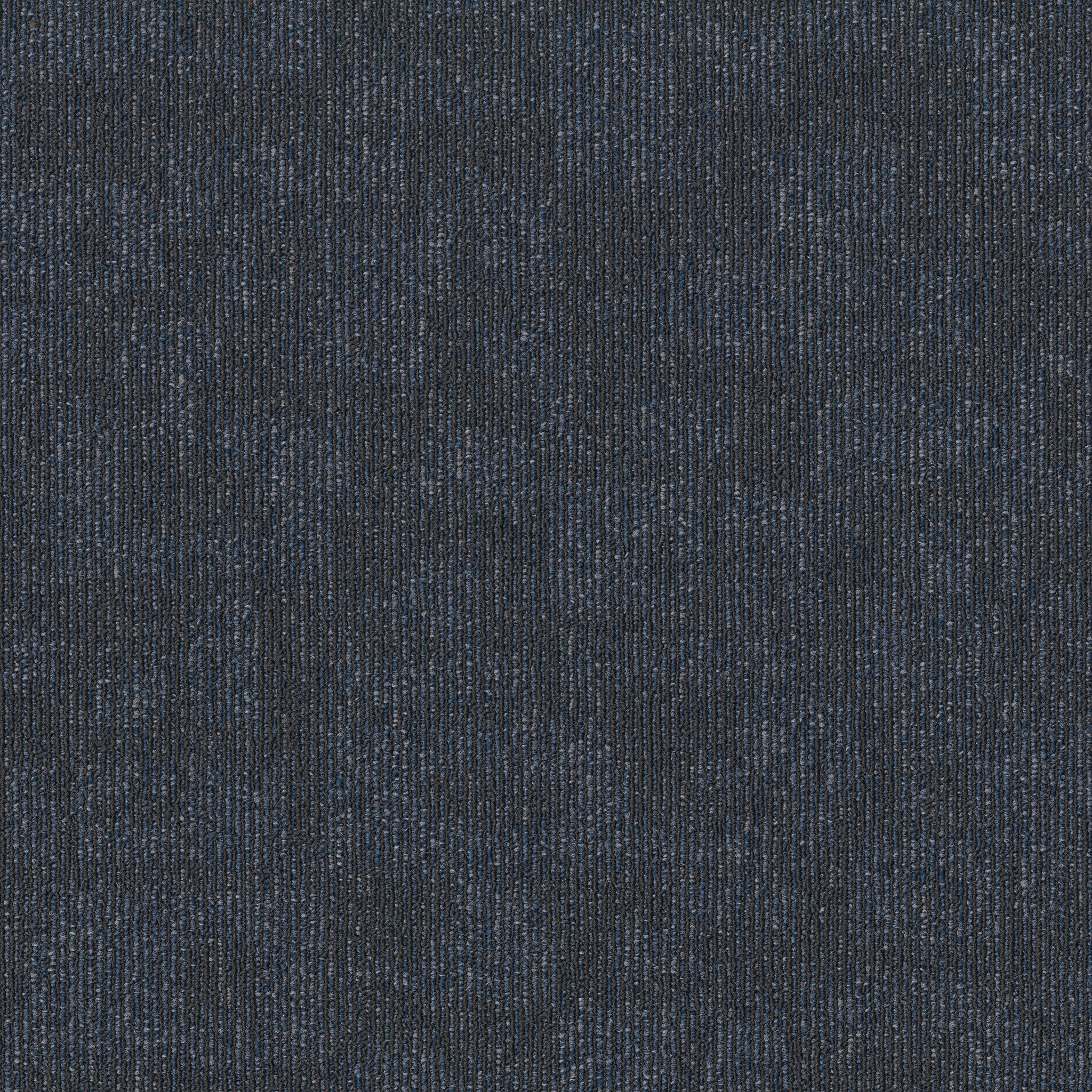 Philadelphia Commercial Forma 54948-00400 Association 24" x 24" Carpet Tile