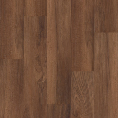 Philadelphia Commercial Fortitude 5601V-00820 Amber Oak (Partial Piece - Sample)