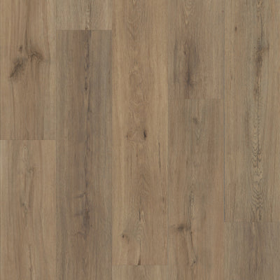 Philadelphia Commercial Fortitude 5601V-07089 Wild Dunes (Partial Piece - Sample)