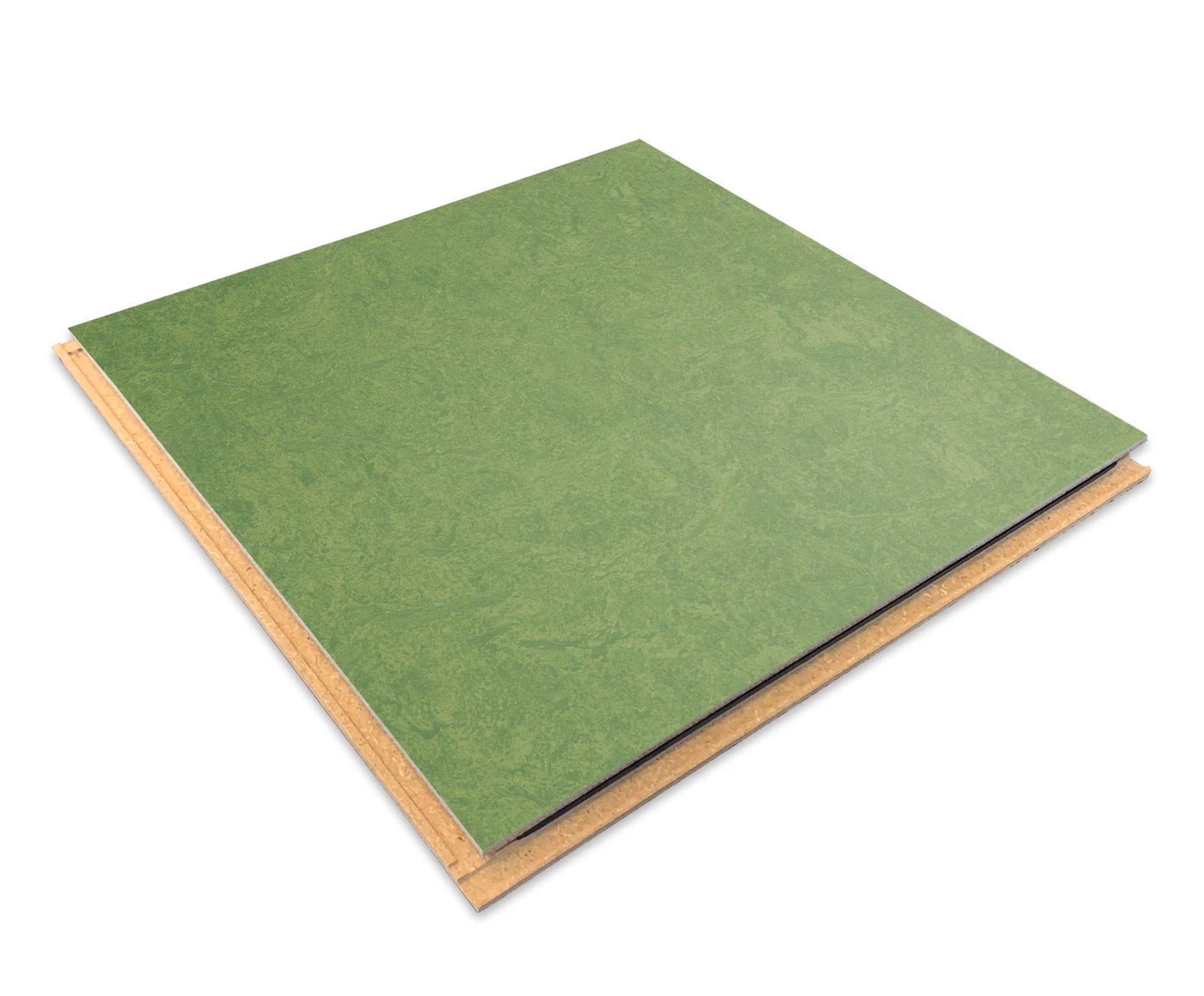 Forbo Leaf Linoleum CL333260 Marmoleum Click Cinch LOC Seal (Partial Piece - Sample)