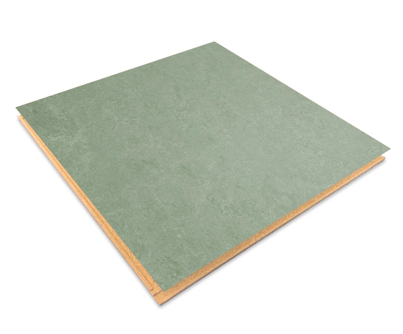 Forbo Sage Linoleum CL333891 Marmoleum Click Cinch LOC Seal  (Partial Piece - Sample)