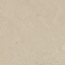 Forbo Marmoleum Modular Tile T3718-156445 Pluto Linoleum Tile Flooring (Partial Piece - Sample)