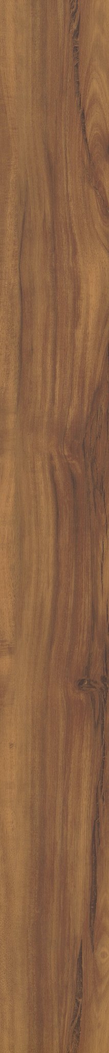COREtec Gold Coast Acacia WPC Vinyl Plank Flooring VV023-00201 LVP Originals Classics 5" x 48" (26.47 SF/Box)