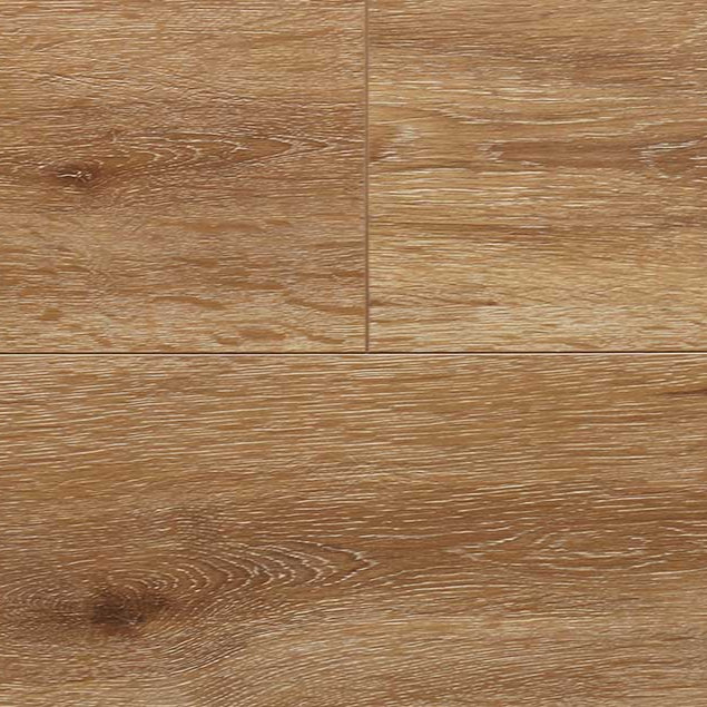 audacity elegance genoa cfl5011810