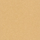 Armstrong Premium Excelon Crown Texture 5C878 Golden VCT Tile (Partial Piece - Sample)