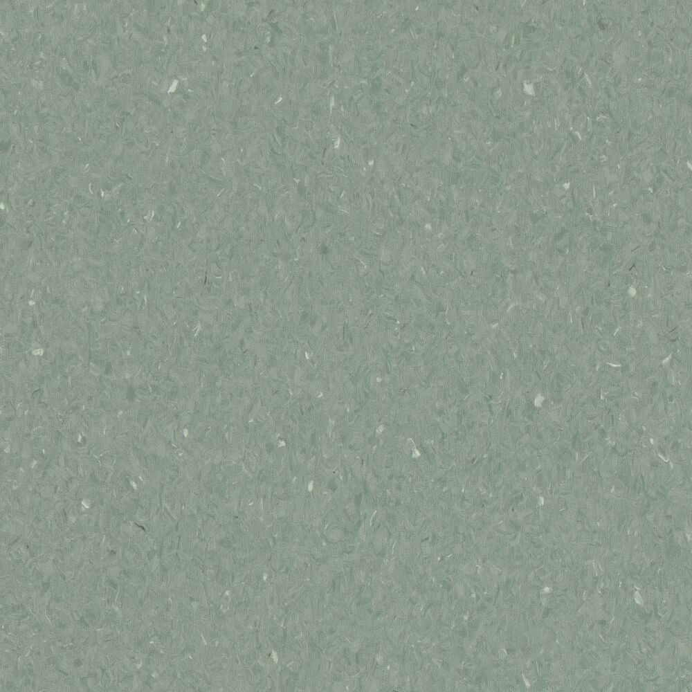 Armstrong Medintone Diamond 10 H2030 Gotu Kola Vinyl Sheet (Partial Piece - Sample)