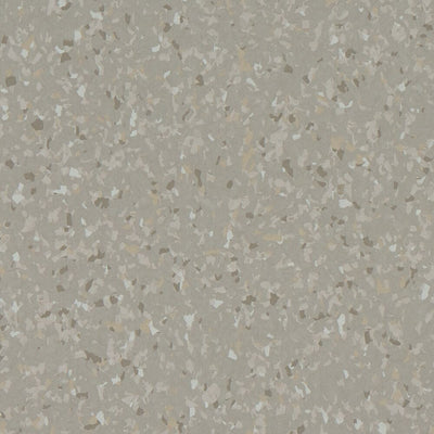 Armstrong MedinPure PVC-Free Sheet H3010 Gray Angel Vinyl Sheet (6.56' Width)
