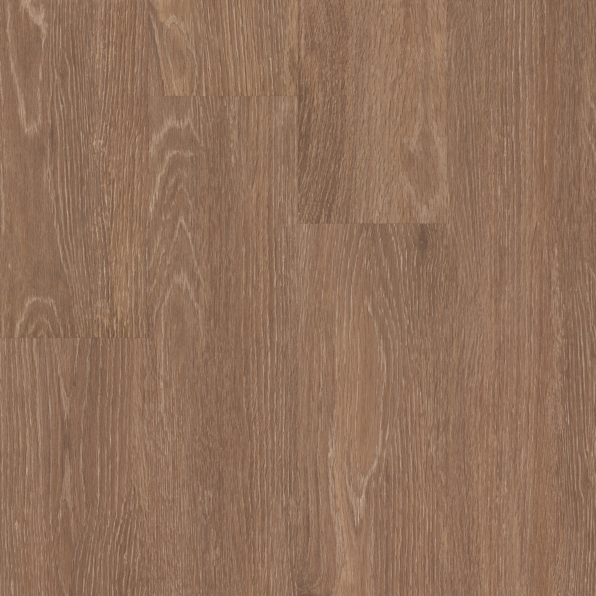 Philadelphia Commercial In The Grain II 30 5536V-00684 Farro (Partial Piece - Sample)