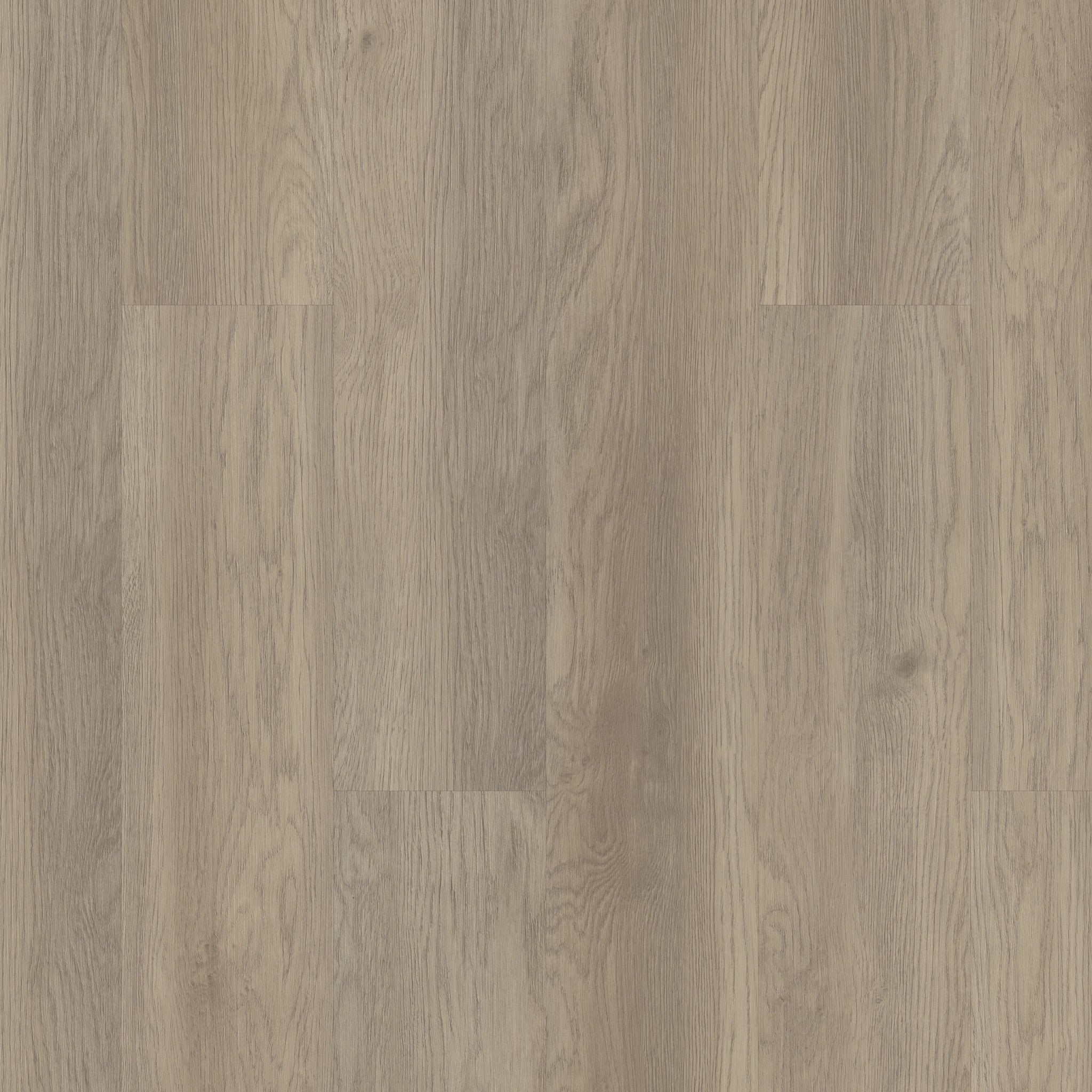 Philadelphia Commercial Indwell SPC SS 5663V-02028 Willow Oak (Partial Piece - Sample)