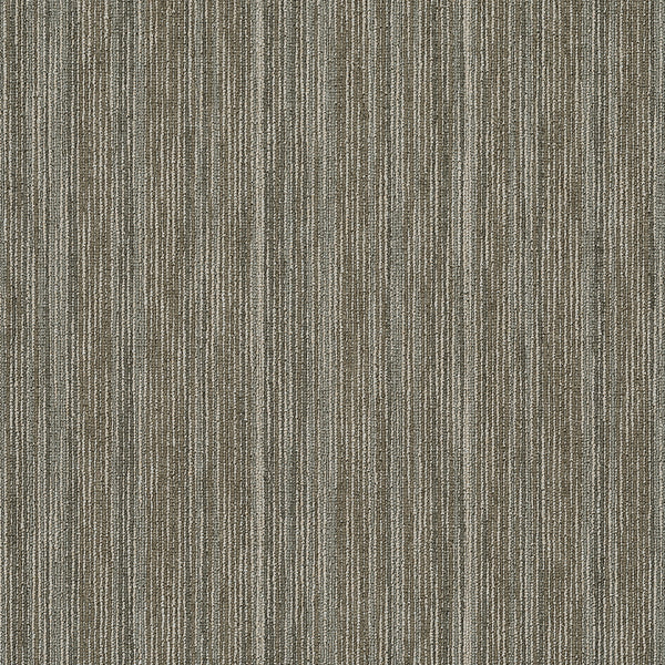 INTELLECT-54845-BRILLIANT-