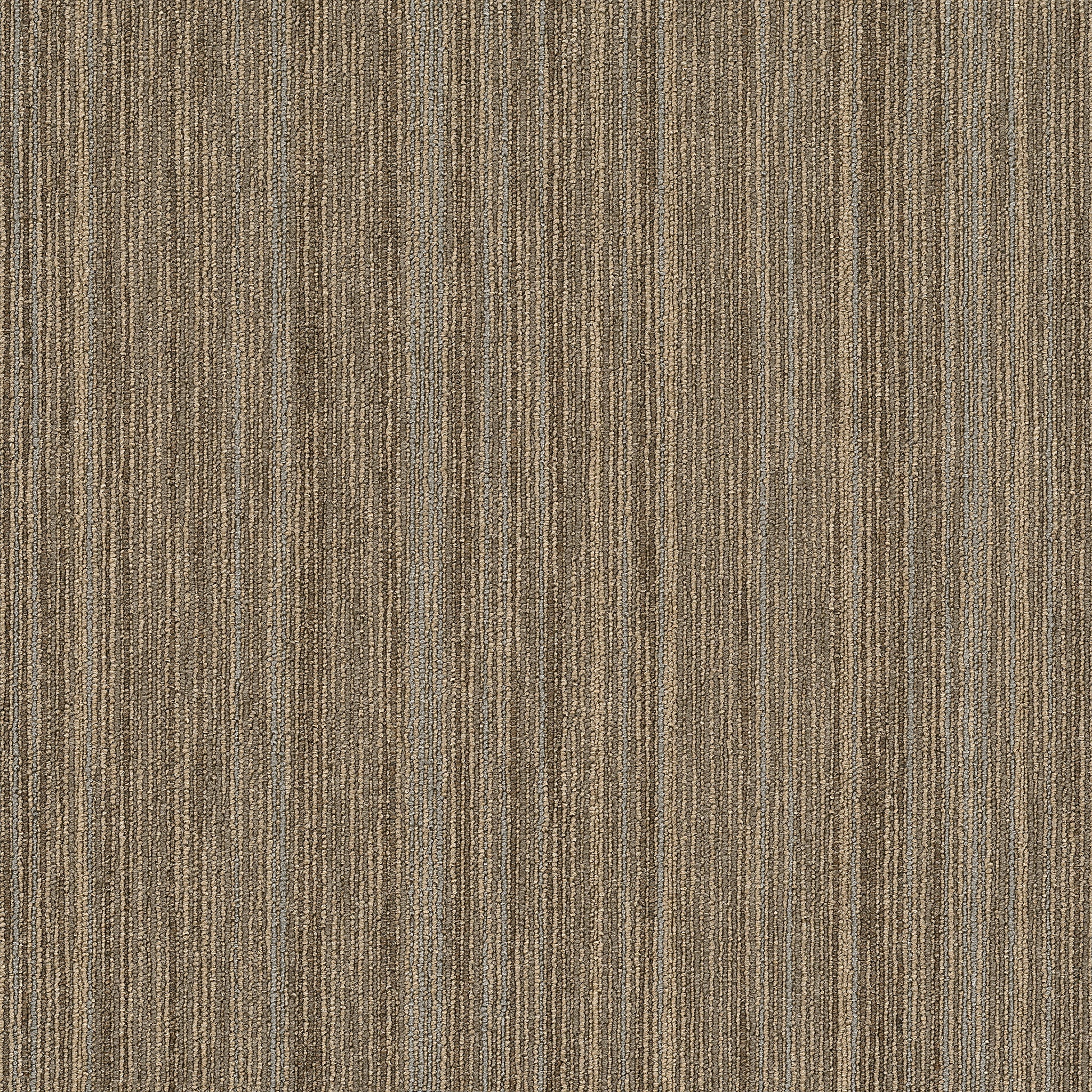 Philadelphia Mainstreet Intellect 54845-45705 Scholarly 24" x 24" Carpet Tile (80 SF/Box)