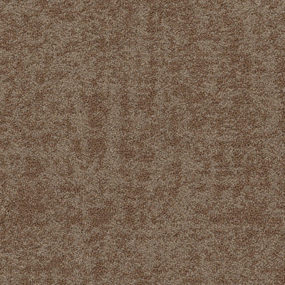 Philadelphia Redefined Luxury Collection Intermingle 54981-00702 Fuse 18" x 36" Carpet Tile (45 SF/Box)