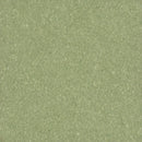 Armstrong Premium Excelon Crown Texture 5C866 Little Green Apple VCT Tile (Partial Piece - Sample)
