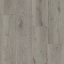 Shaw Homeward 2896V-05239 Tempest Grey 9