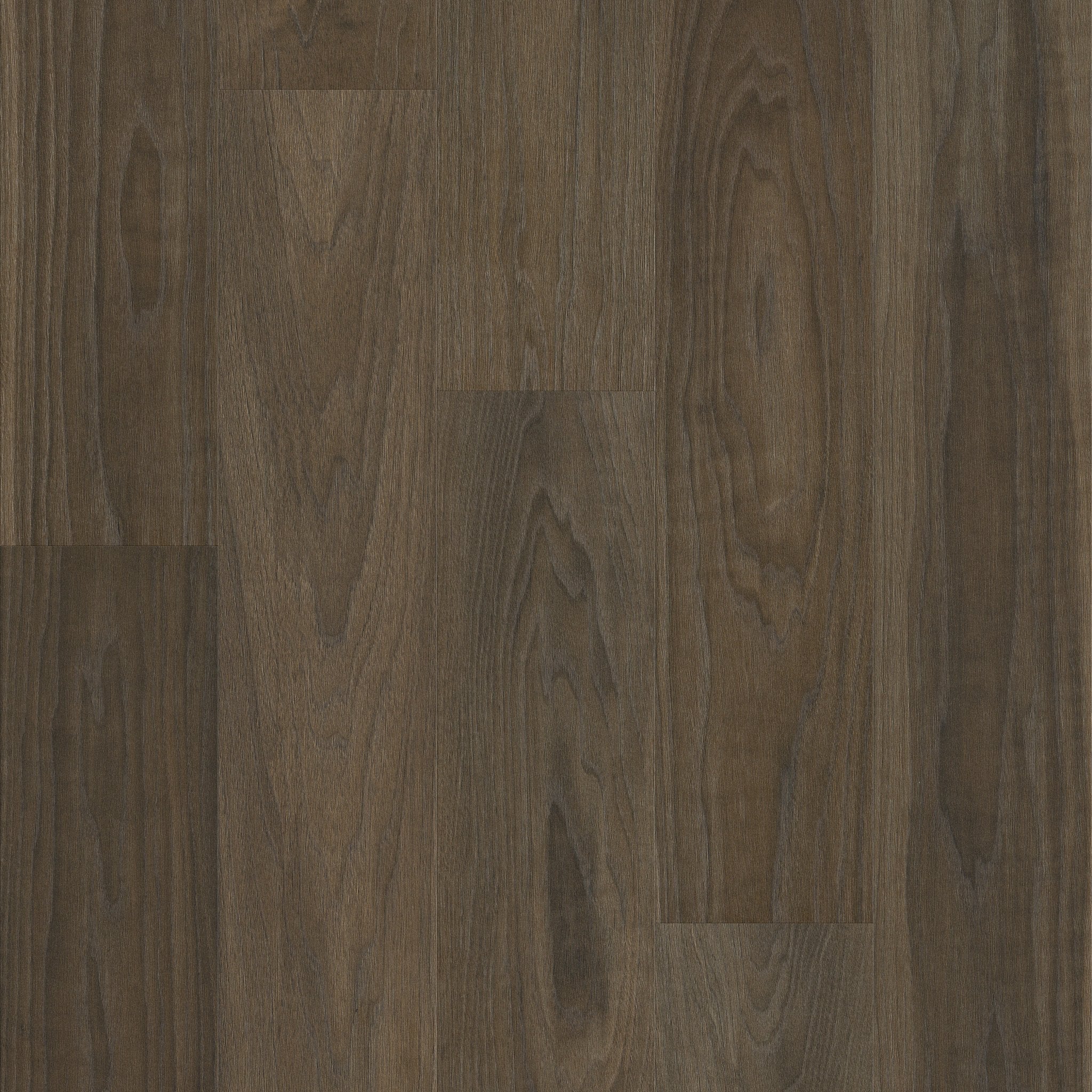 Ansley Walnut / 7