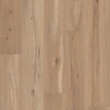 Blonde Oak