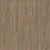 Treasure Pine / 9