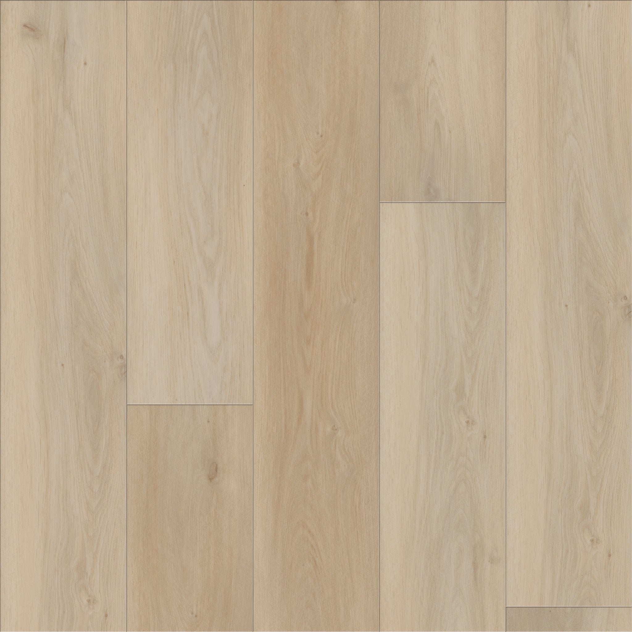 Cyril Oak / 9