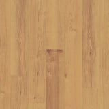 Norwegian Maple