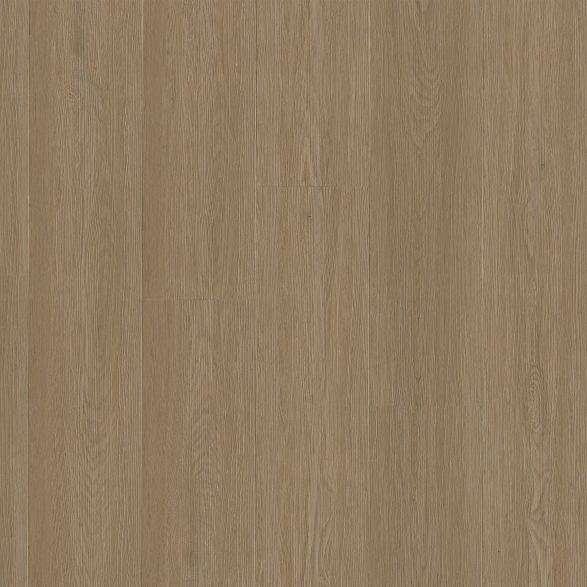 MSI Everlife Laurel Meadowrun 9" x 48" Luxury Vinyl Plank (29.94 SF/Box)