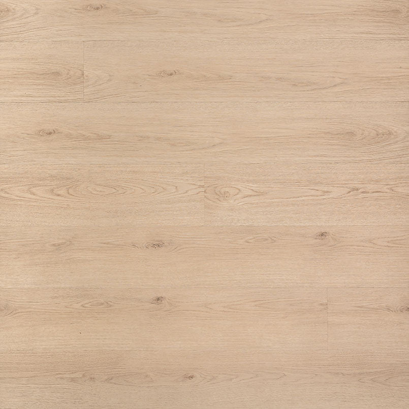 MSI Everlife Rigid Core Prescott Chester Hills Luxury Vinyl Plank (Partial Piece - Sample)