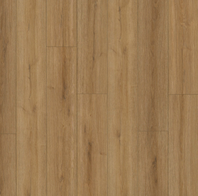 MSI Everlife XL Cyrus Amber Forrester 8.98" x 60" Rigid Core Luxury Vinyl Plank
