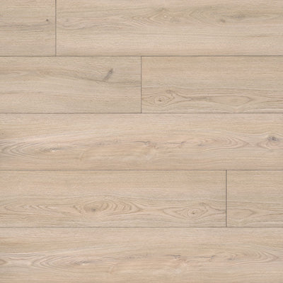 MSI Everlife Rigid Core XL Cyrus Austell Grove 9" x 60" Luxury Vinyl Plank (22.44 SF/Box)