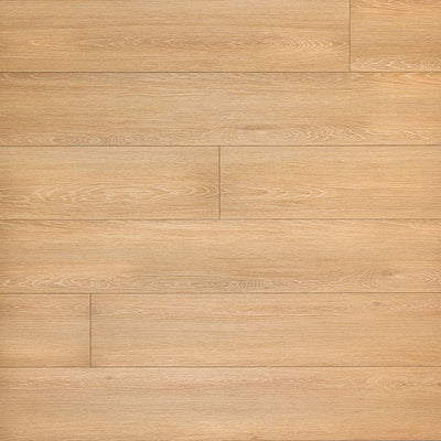 MSI Everlife Rigid Core XL Cyrus Valleyview Grove 9" x 60" Luxury Vinyl Plank (22.44 SF/Box)