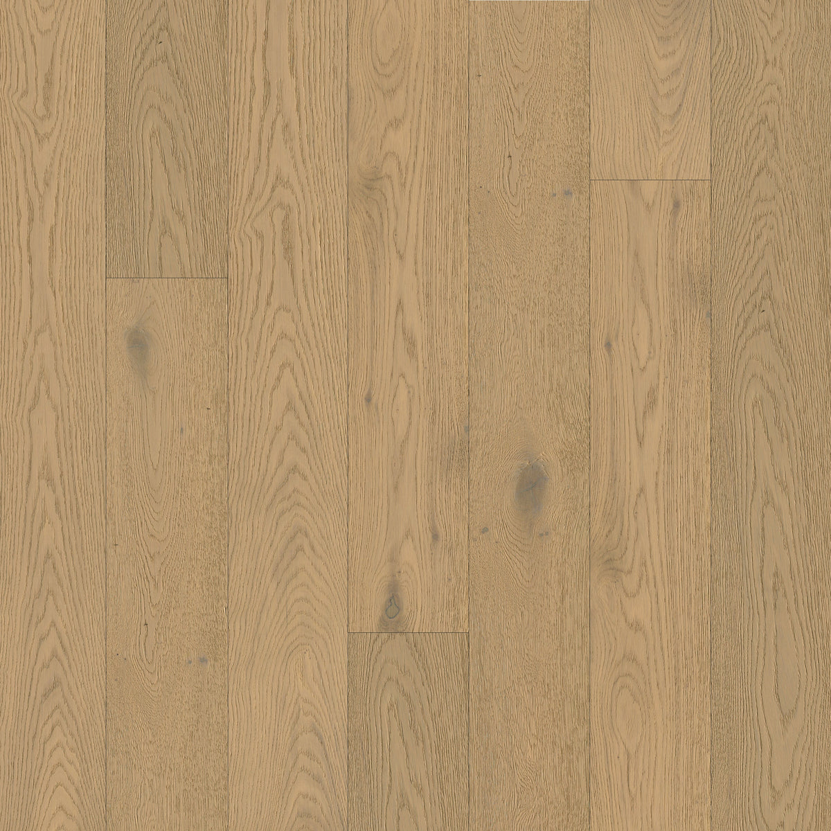 MSI McCarran Talren 9.5" x 86" Random Length Engineered Hardwood (34.1 SF/Box)
