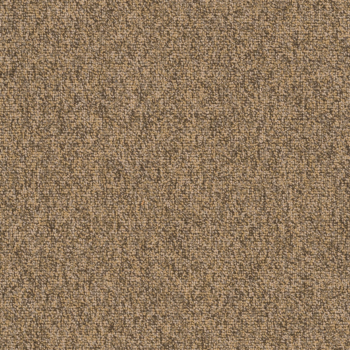 Philadelphia Commercial Multiplicity 18X36 54815-00200 Abundance 18" x 36" Carpet Tile