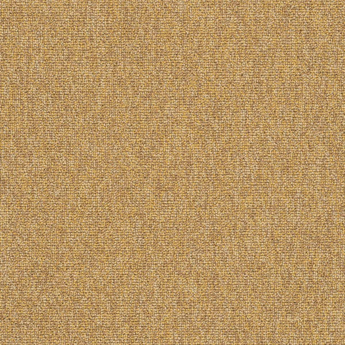 Philadelphia Commercial Multiplicity 18X36 54815-00210 Expansive 18" x 36" Carpet Tile
