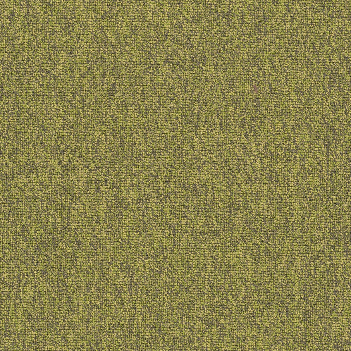 Philadelphia Commercial Multiplicity 18X36 54815-00310 Exuberant 18" x 36" Carpet Tile