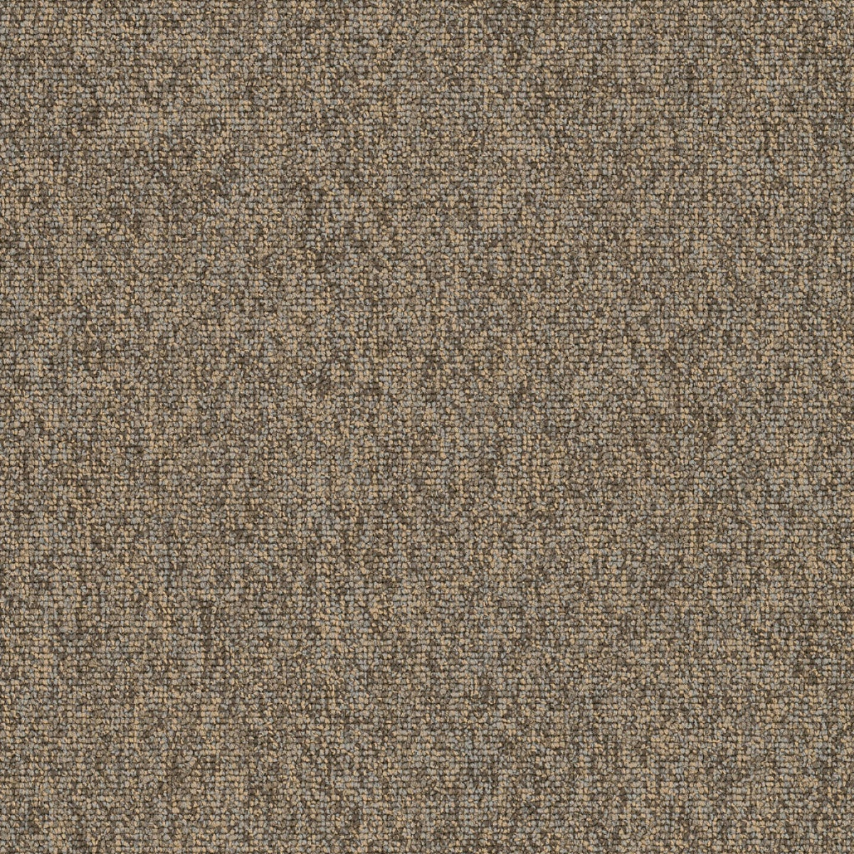 Philadelphia Commercial Multiplicity 18X36 54815-00700 Oodles 18" x 36" Carpet Tile