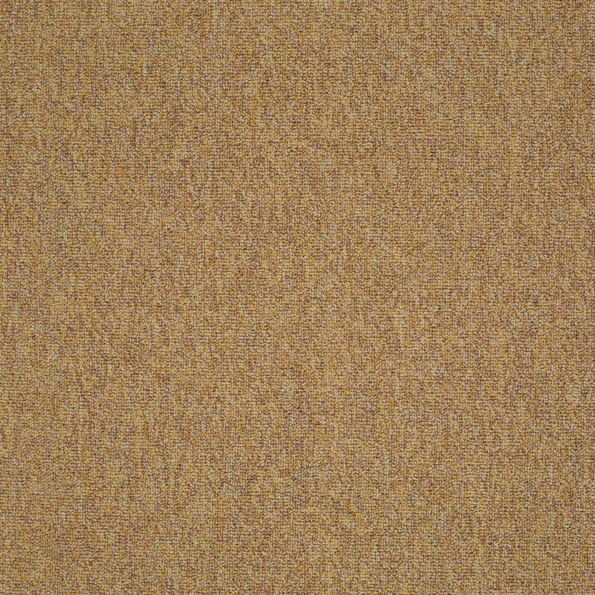 Philadelphia Commercial Multiplicity 24X24 54594-00210 Expansive 24" x 24" Carpet Tile