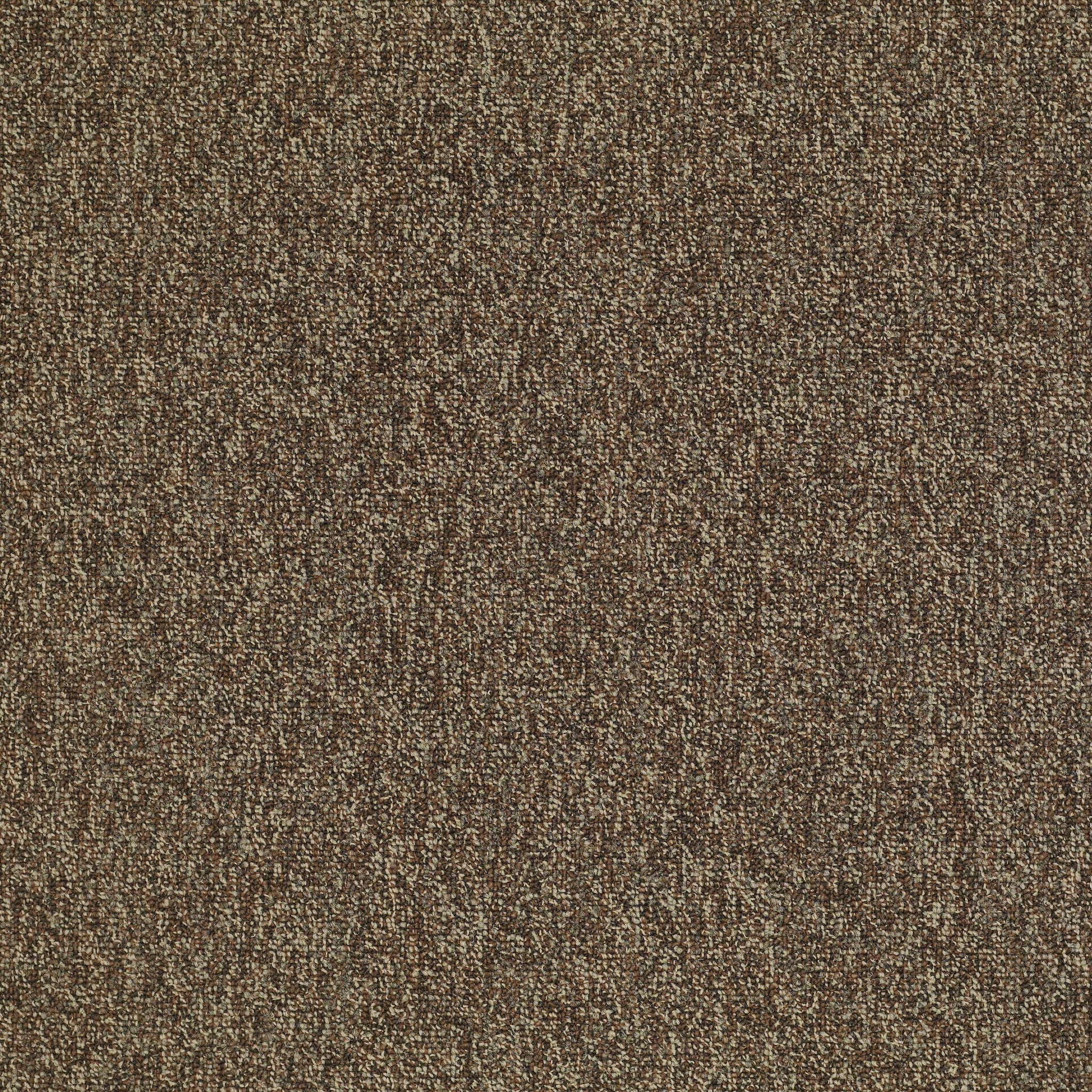 Philadelphia Commercial Multiplicity 24X24 54594-00705 Exuberance 24" x 24" Carpet Tile