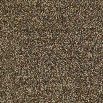 Philadelphia Mainstreet Multiplicity 24X24 54594-00705 Exuberance 24" x 24" Carpet Tile (48 SF/Box)