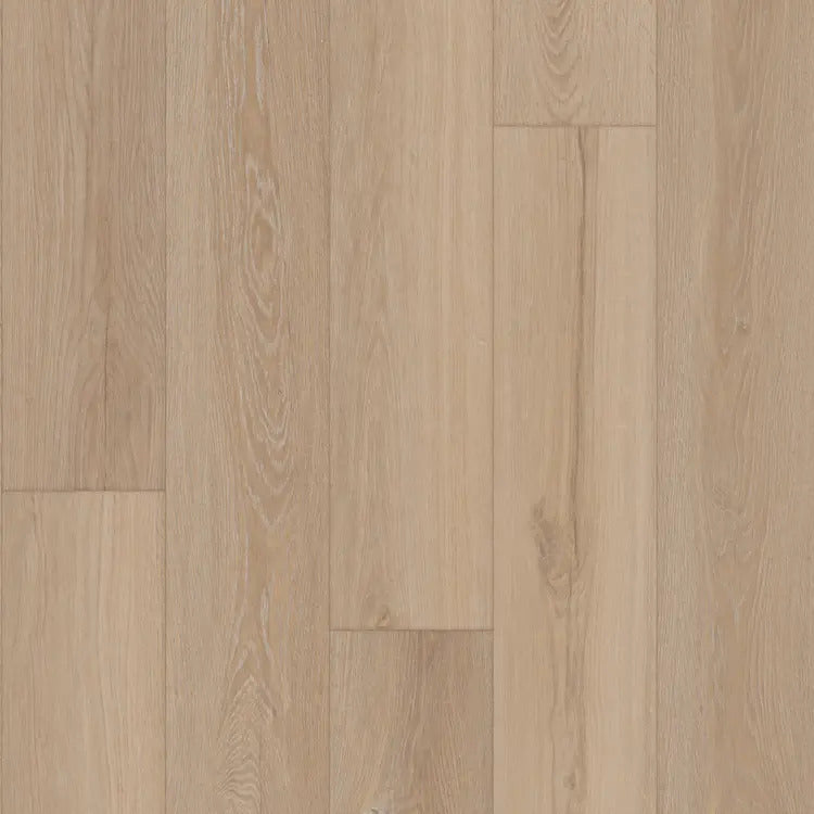 Mannington Glacier Laminate 31102-565771 Restoration Everest