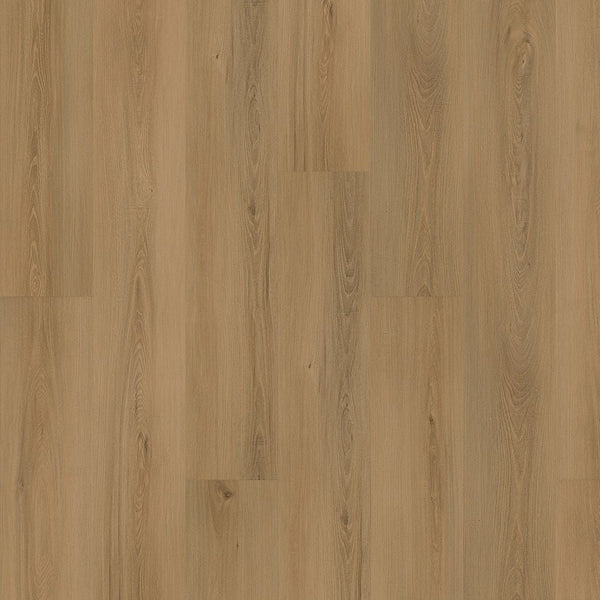 Mohawk Eastbrook Shoals Laine | 9