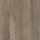 Armstrong Natural Creations Diamond 10 Technology ArborArt NA180 Galena Oak Rye Luxury Vinyl Tile (Partial Piece - Sample)