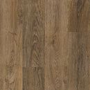 Armstrong Natural Creations Diamond 10 Technology ArborArt NA181 Galena Oak Wheat Luxury Vinyl Tile (Partial Piece - Sample)