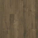 Armstrong Natural Creations Diamond 10 Technology ArborArt NA237 Weathered Arbor Grizzly Luxury Vinyl Tile (Partial Piece - Sample)