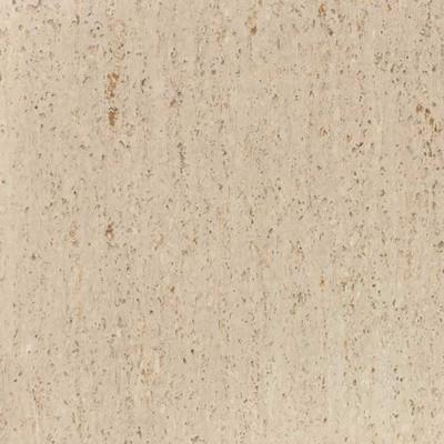 Tarkett / Johnsonite iQ Optima TAR314013821 Frothy Latte Homogeneous Tile (Partial Piece - Sample)