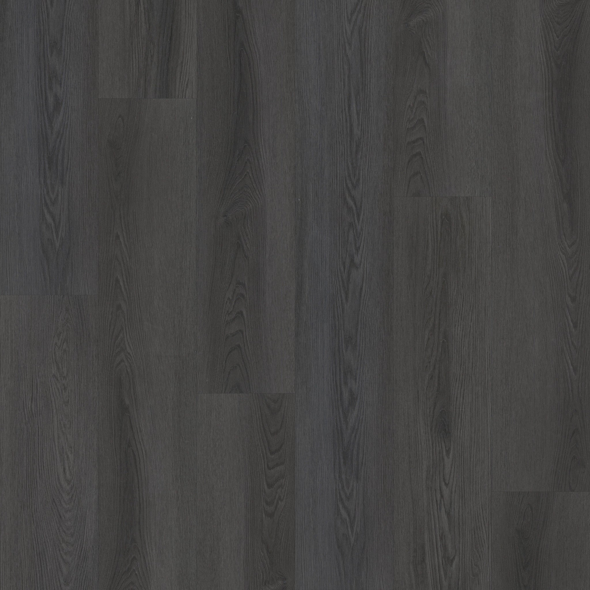 Philadelphia Commercial Philosopher's Tree 5599V-00510 Igneous (Partial Piece - Sample)