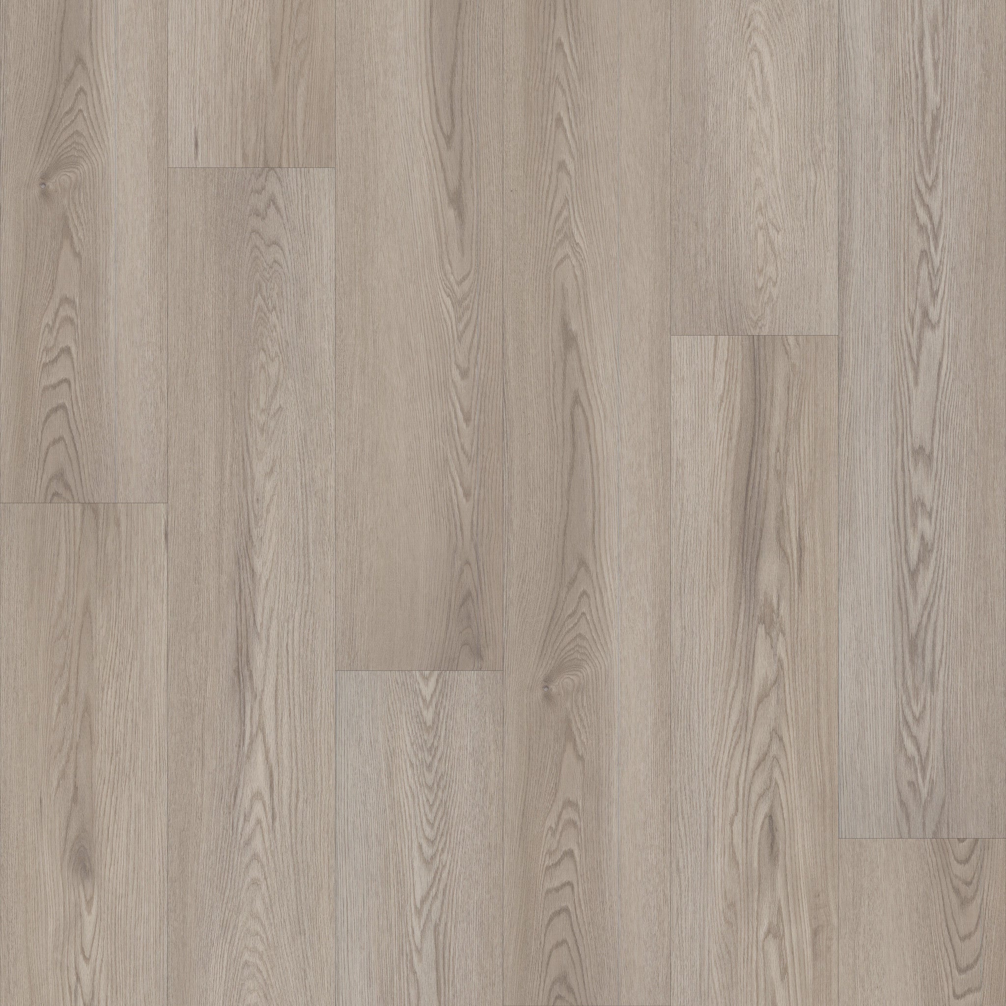 Philadelphia Philosopher's Tree 5599V-00107 Weathered Bark 8.97